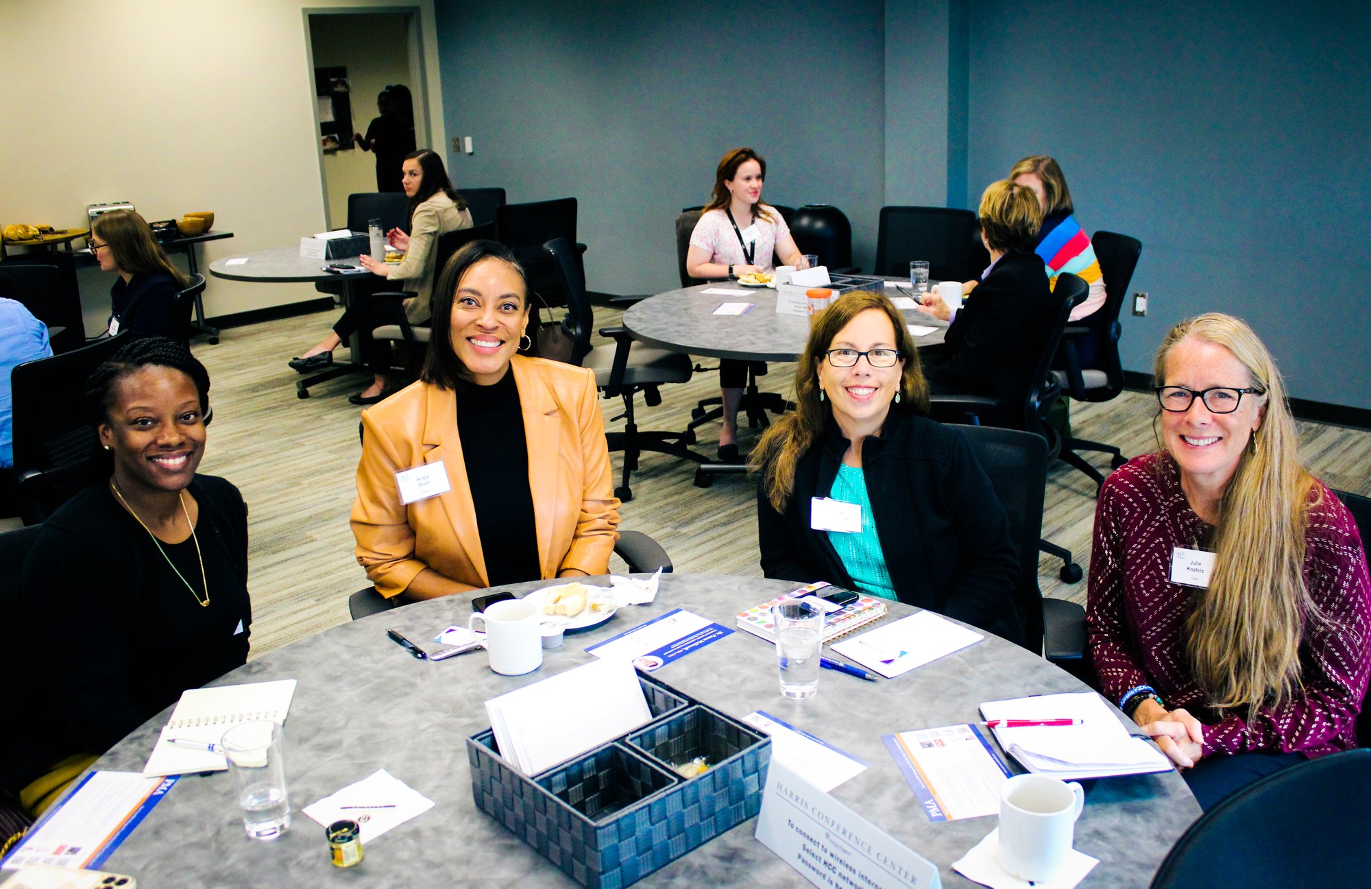 Organizational Development for Nonprofits PMA